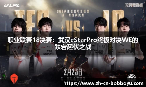 BOB博鱼体育平台